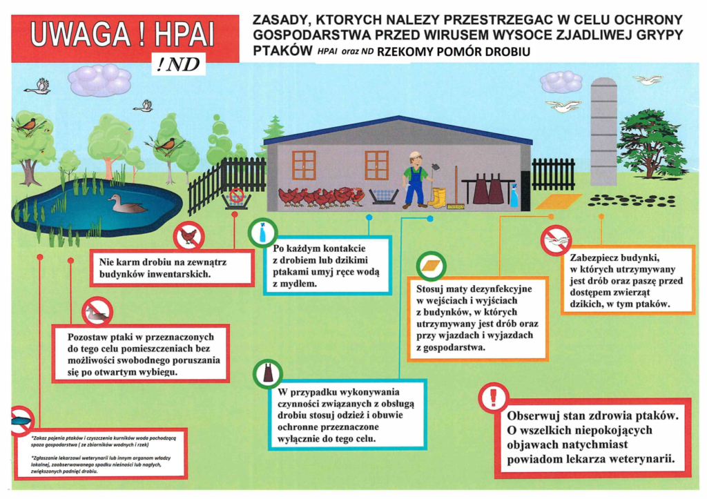 Plakat obrazujący zasady, których należy przestrzegać w celu ochrony gospodarstwa przed wirusem wysoce zjadliwej grypy ptaków oraz rzekomego pomoru drobiu